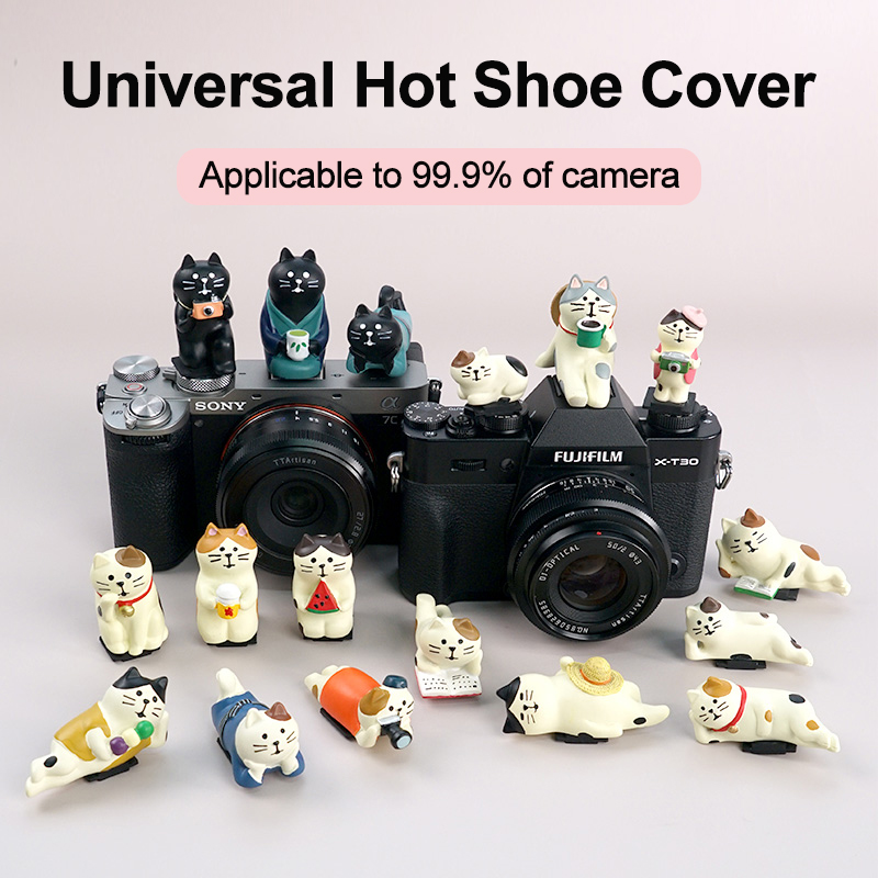 Nắp che hot shoe máy ảnh đa nă - đánh giá và giá Canon Camera Eos R50